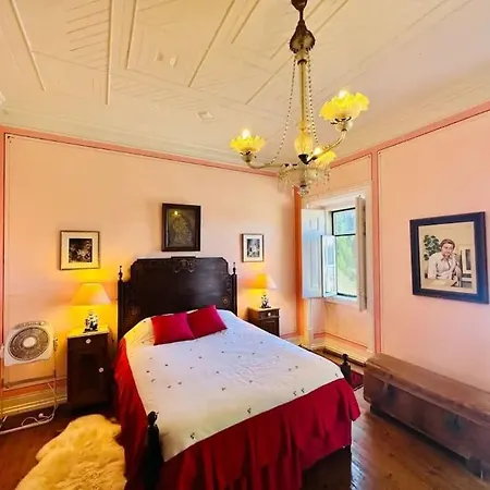 Quinta Perto Da Barragem De Castelo Do Bode Tatil Evi